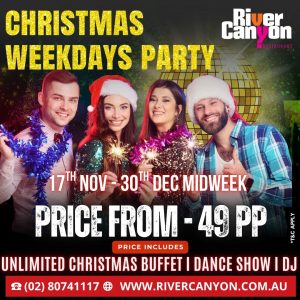 Christmas Weekdays Party